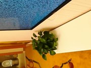 解开裤子就吃鸡巴爽的让你无法反抗,在沙发上扒光衣服干!