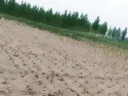 露天啪啪,旁边还个老头在干农活,又在乡下厕所里肏逼