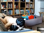 破解家庭网络摄像头少妇刚生完孩子不久在沙发上啪啪