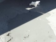 长焦距连拍户外内急难耐找个没人的地方嘘嘘