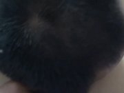 良家美少妇下班和领导酒店偷情,舔的美女呻吟浪叫