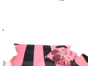 双人啪啪秀 跳蛋道具JJ抽插口交上位骑乘