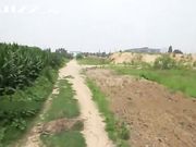 骚货野外夹着跳蛋 快到高潮时被强制爆操中出