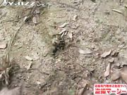 素人大胆挑战户外各种场合尿尿直播