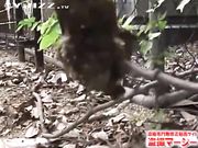 素人大胆挑战户外各种场合尿尿直播