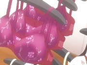 我家的莉莉安纳THE