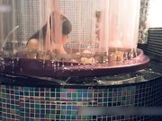 金莲淫言脏语不解释高清完整版