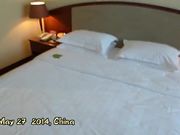 风骚性感的妹子有着罕见的大黑逼