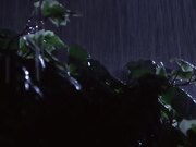 只属两人的秘密。颱风天、我住在老师家持续中出性爱_ (2)