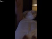 那些年被我操过的大奶美女们