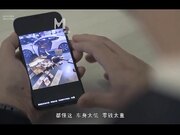 凌辱凡尔赛文学少女 李文雯